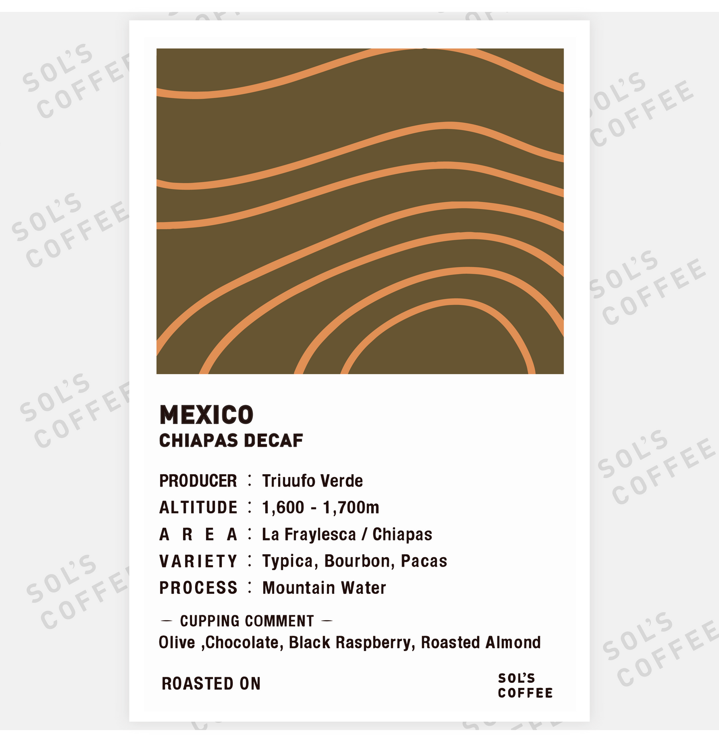 MEXICO CHIAPAS DECAF