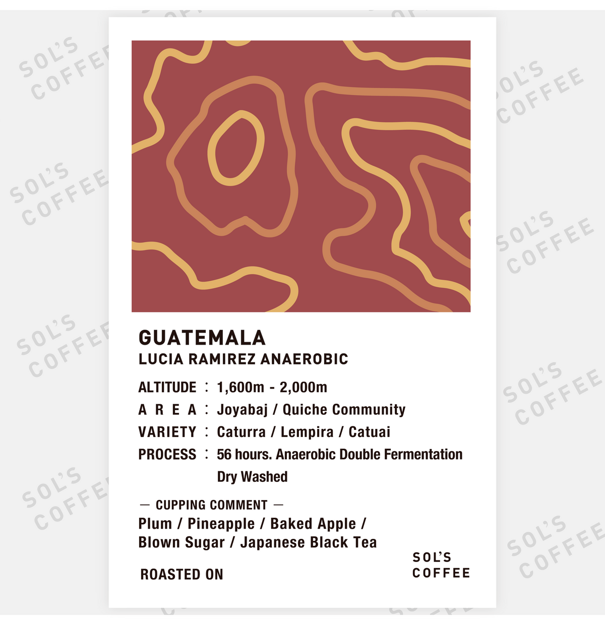 GUATEMALA LUCIA RAMIREZ ANAEROBIC