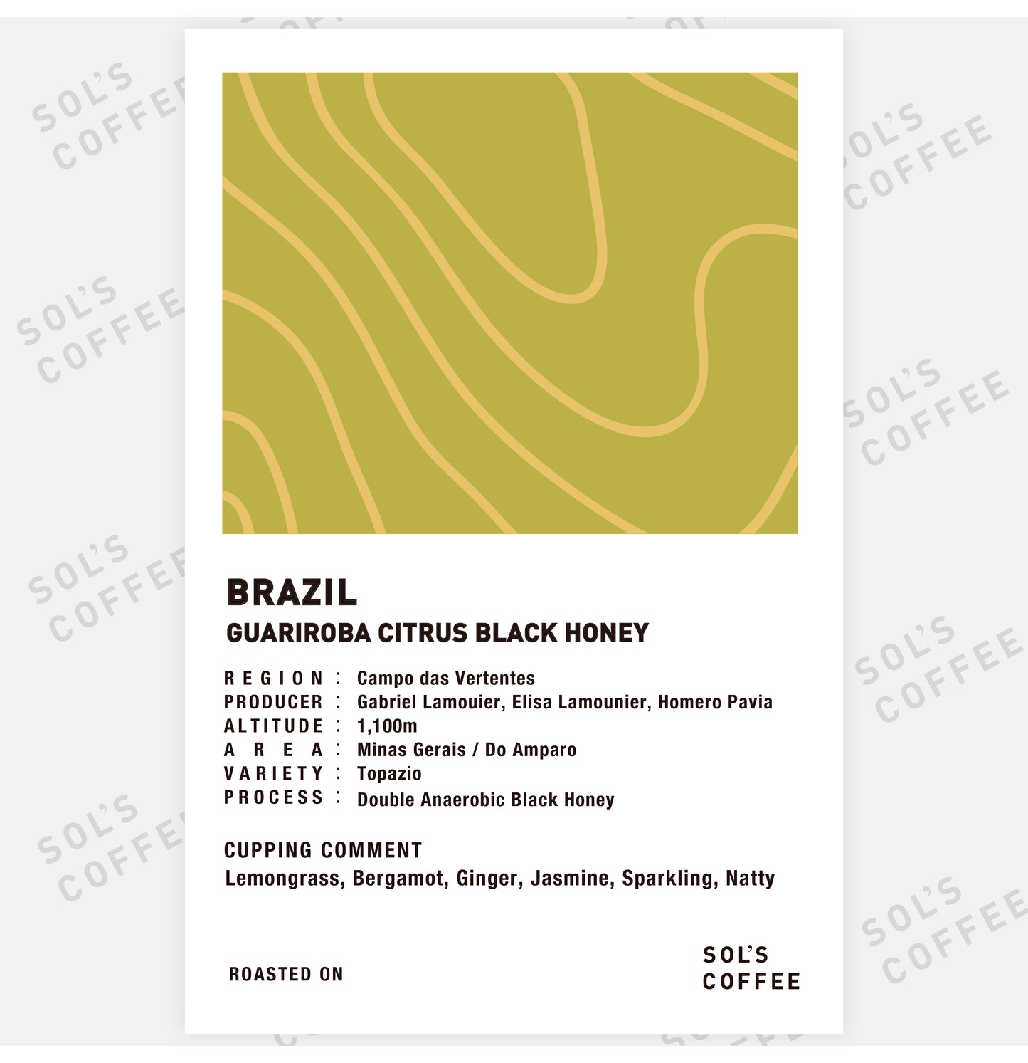 BRAZIL GUARIROBA CITRUS BLACK HONEY