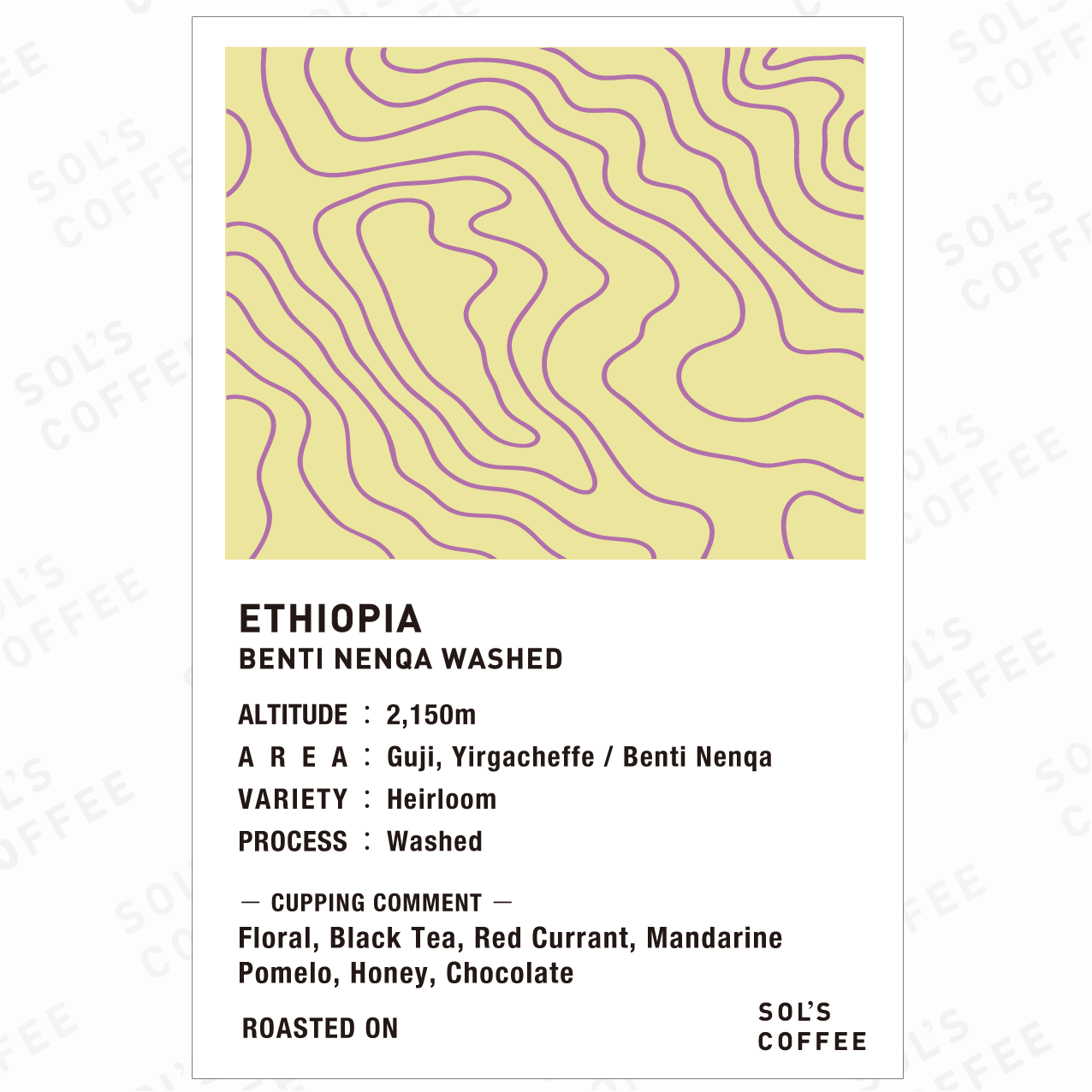 ETHIOPIA BENTI NENQA WASHED