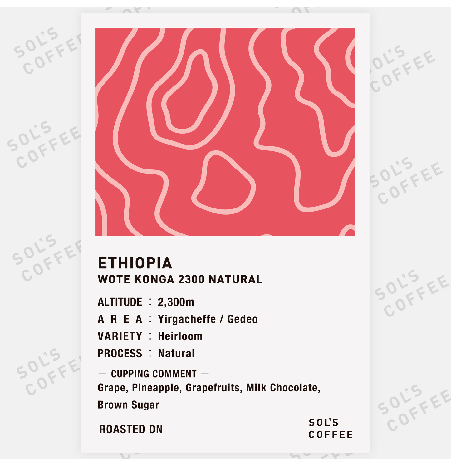 ETHIOPIA WOTE KONGA 2300