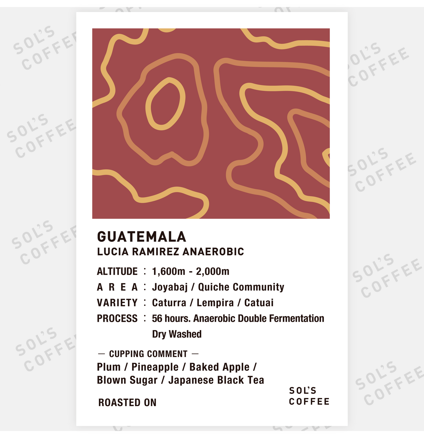 GUATEMALA LUCIA RAMIREZ ANAEROBIC