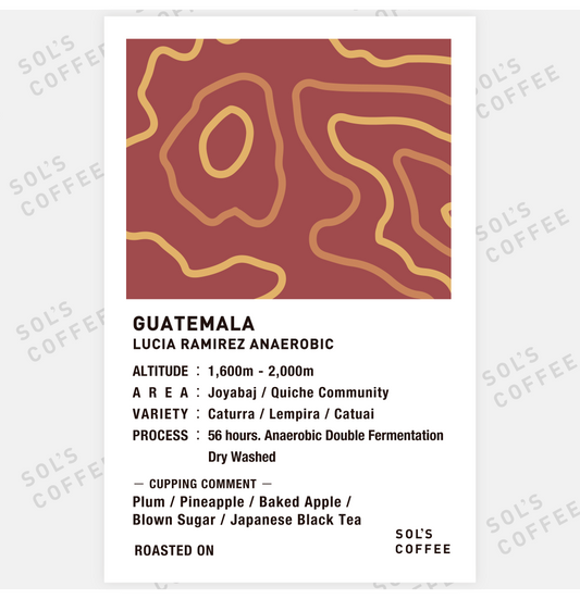 GUATEMALA LUCIA RAMIREZ ANAEROBIC