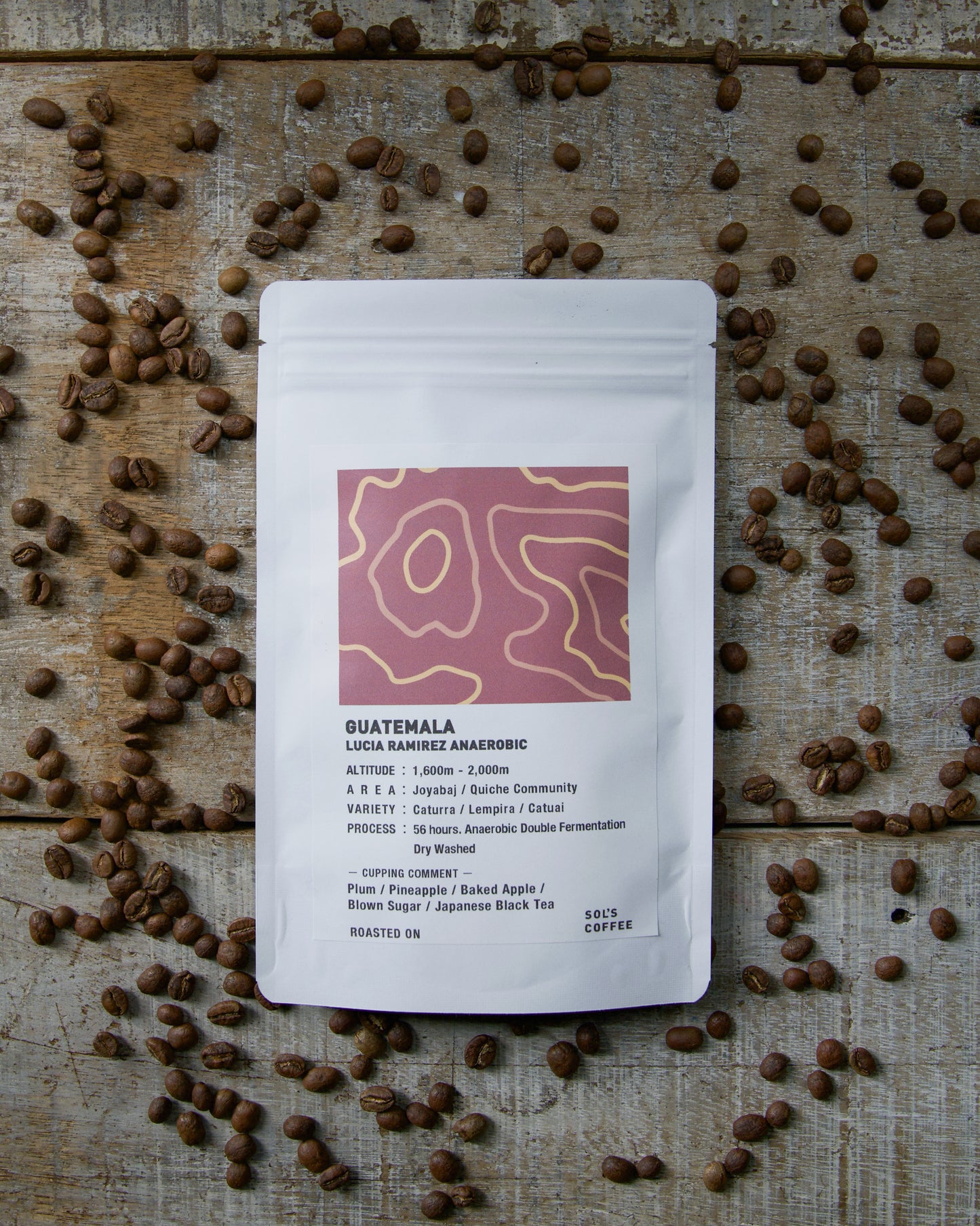 GUATEMALA LUCIA RAMIREZ ANAEROBIC