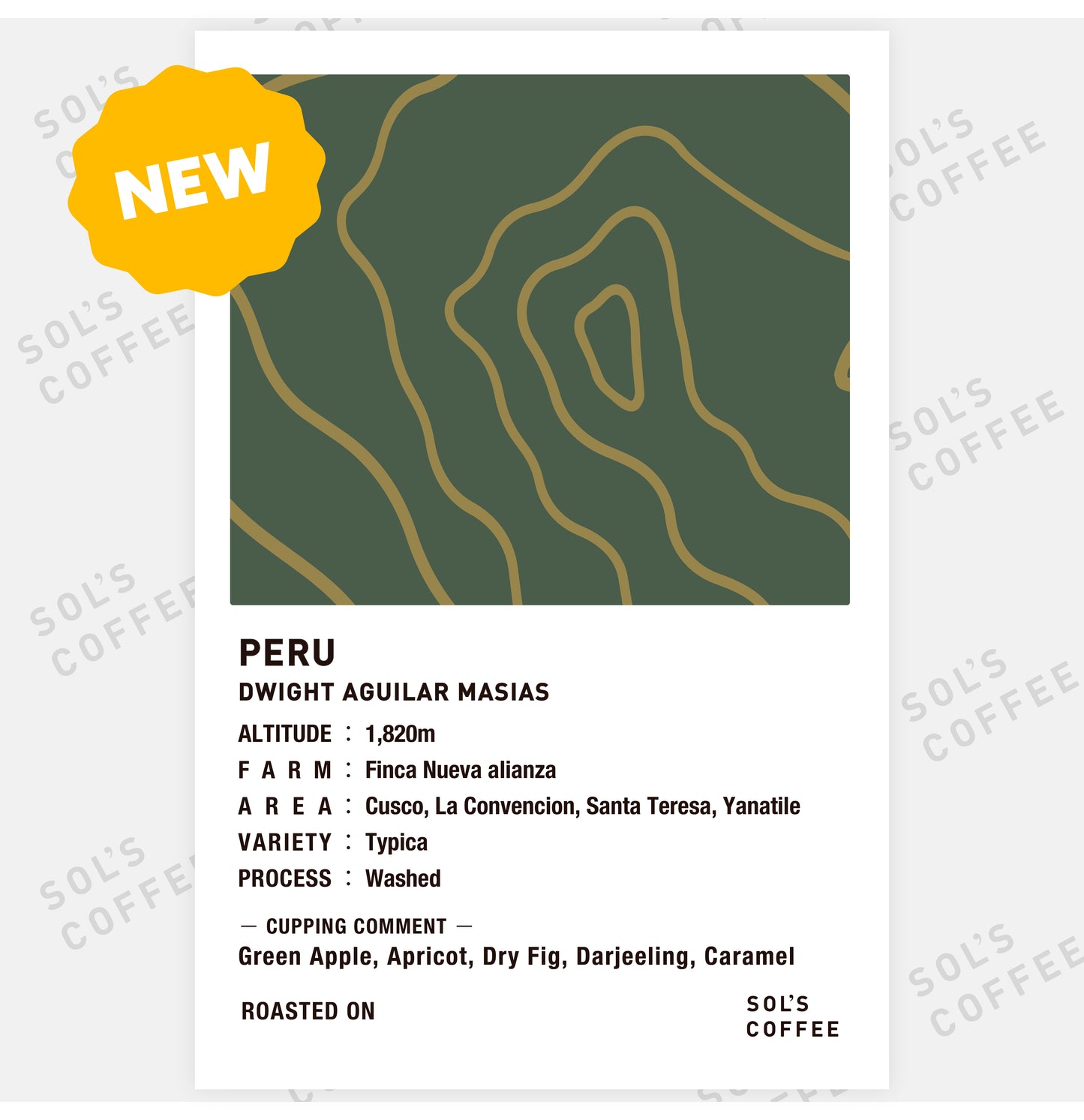 PERU DWIGHT AGUILAR MASIAS WASHED