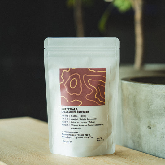 GUATEMALA LUCIA RAMIREZ ANAEROBIC