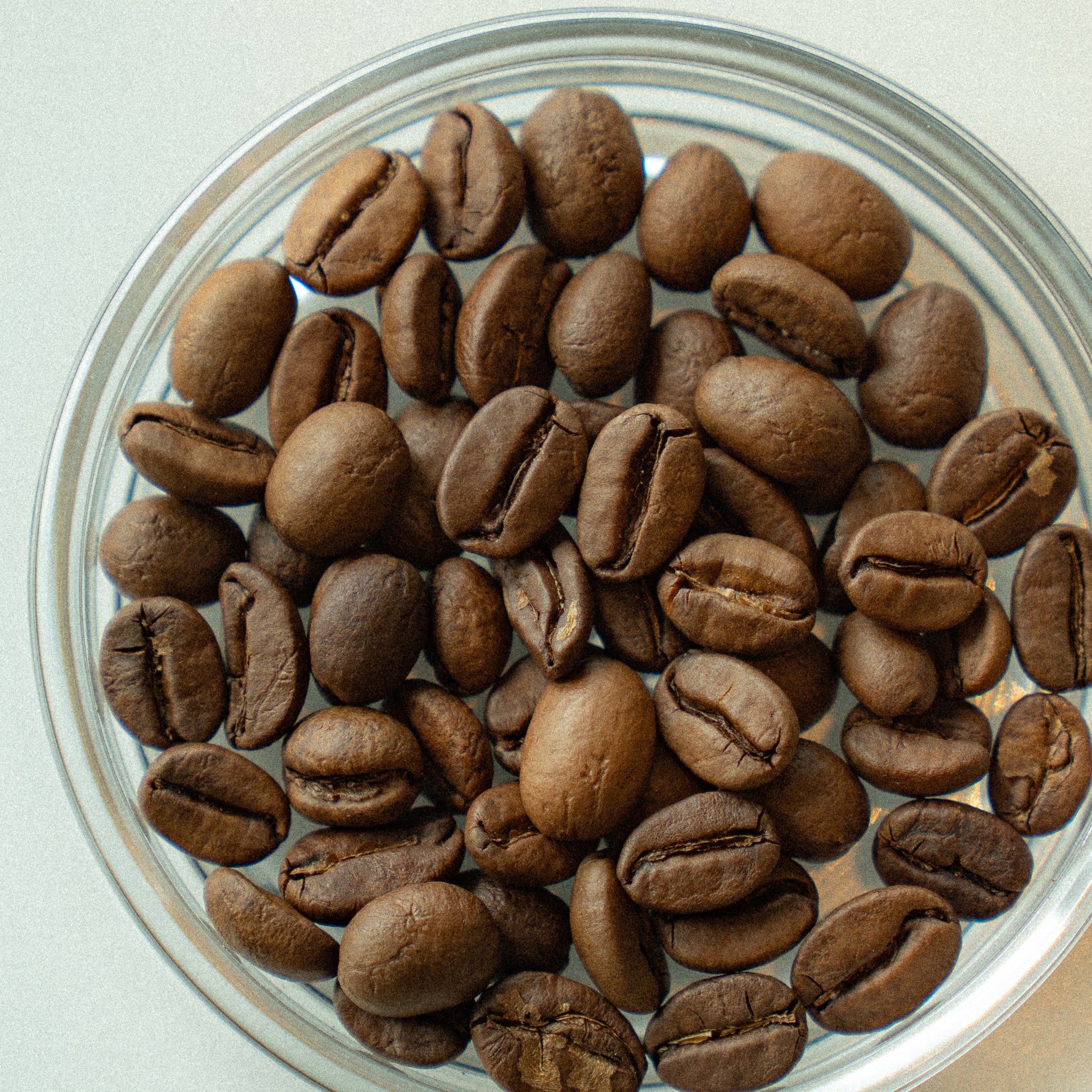 MYNMAR LAT PAN PIN NATURAL – SOL'S COFFEE