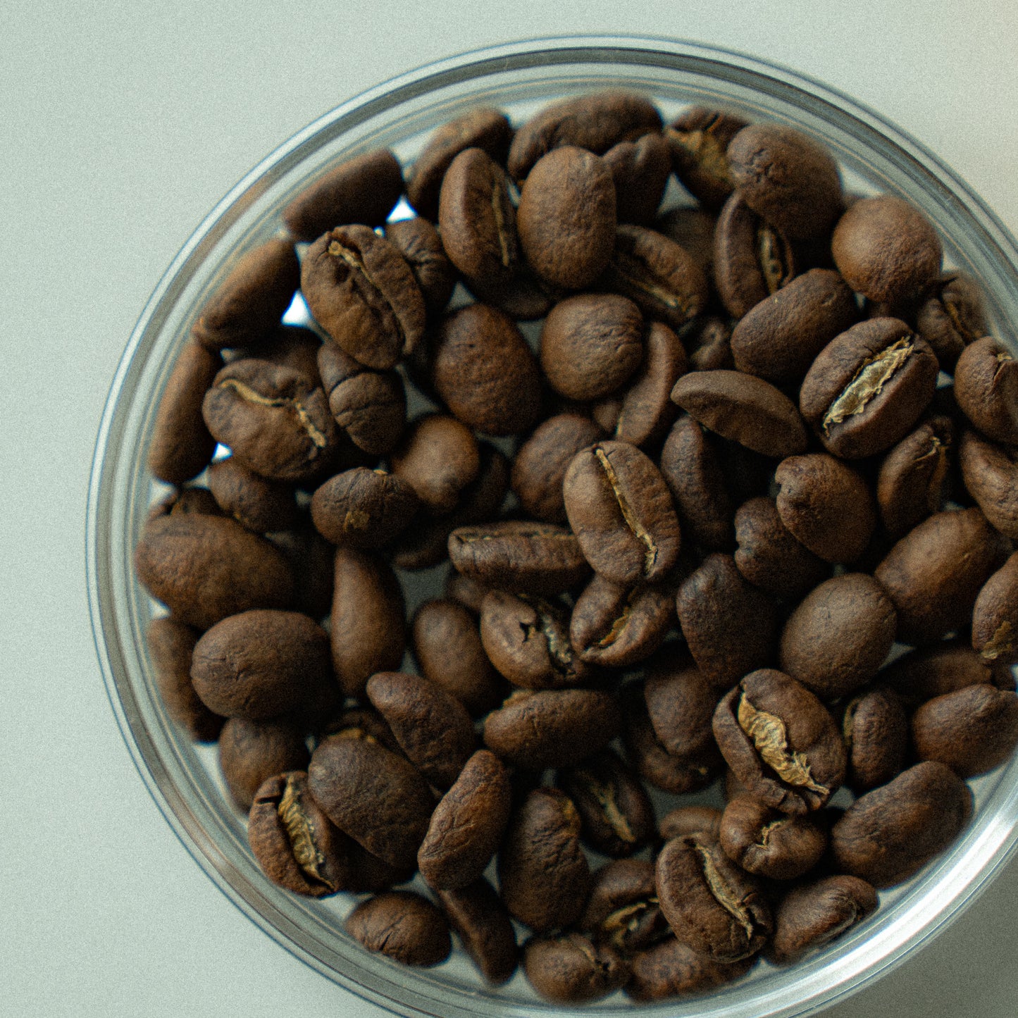 PAPUA NEW GUINEA COLBRAN FARM WASHED