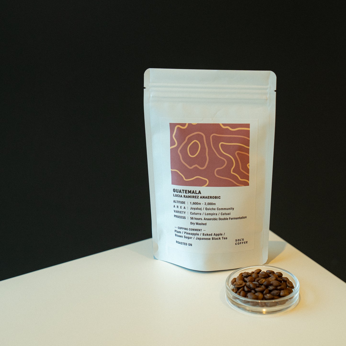 GUATEMALA LUCIA RAMIREZ ANAEROBIC