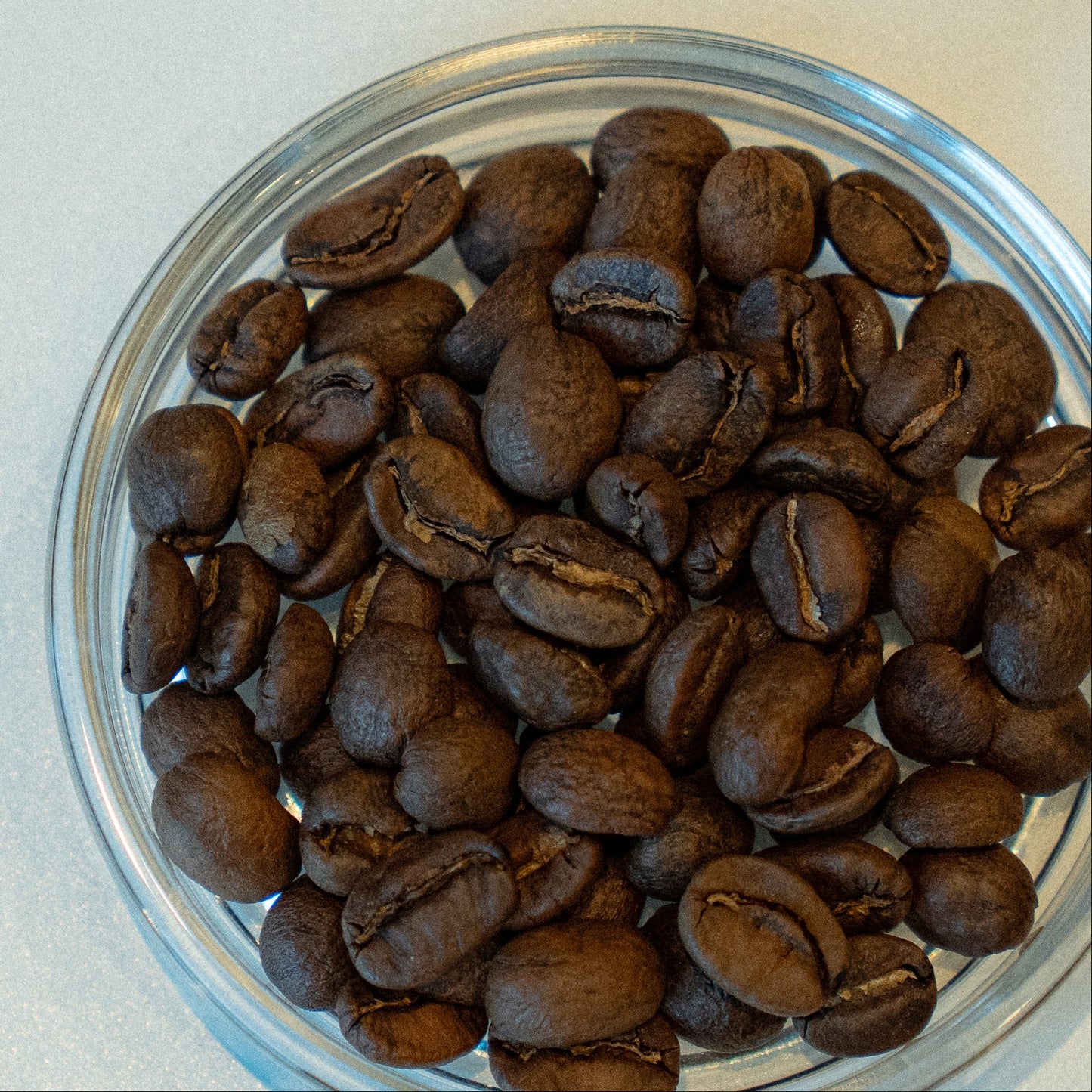 GUATEMALA LUCIA RAMIREZ ANAEROBIC