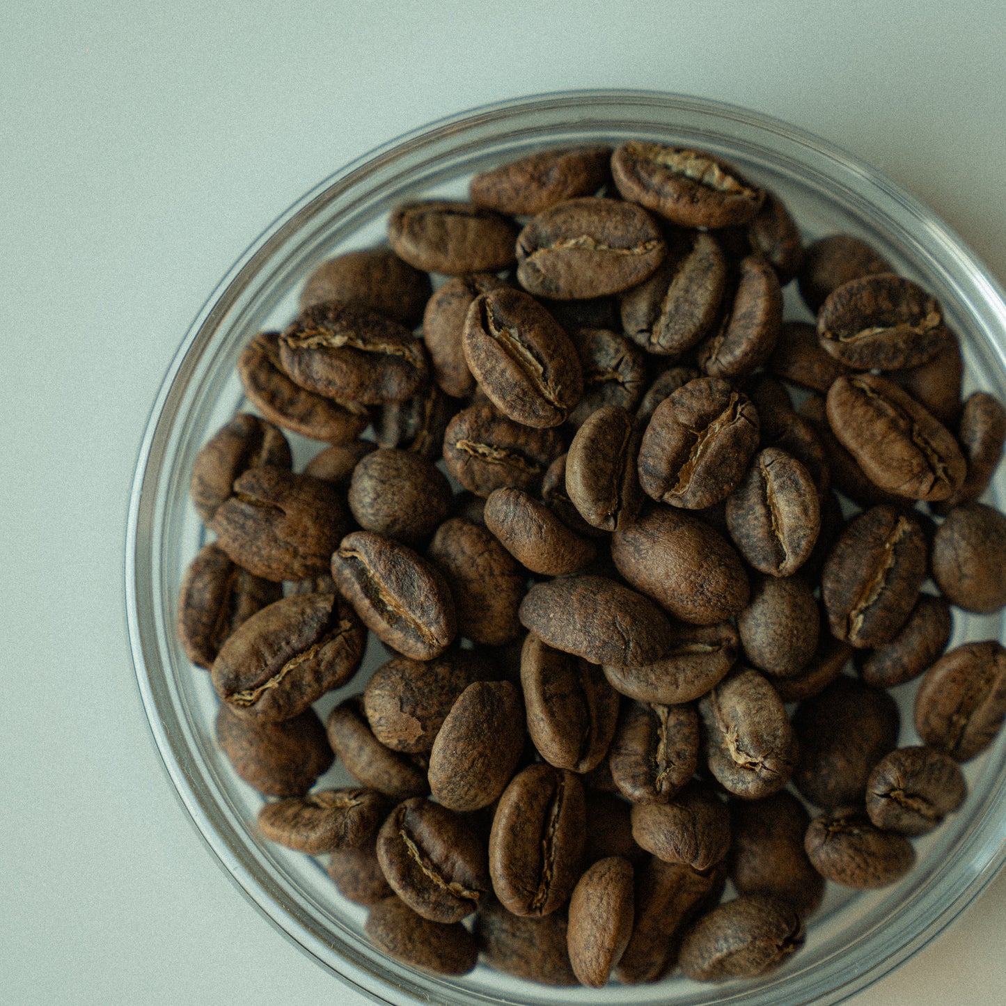 COLOMBIA LA ARGENTINA CHIROSO WASHED