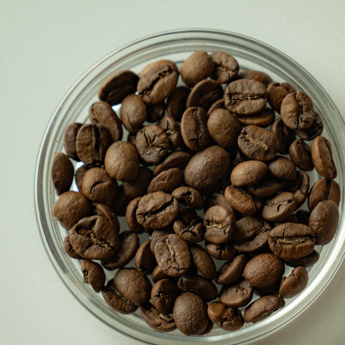 BRAZIL GUARIROBA CITRUS BLACK HONEY