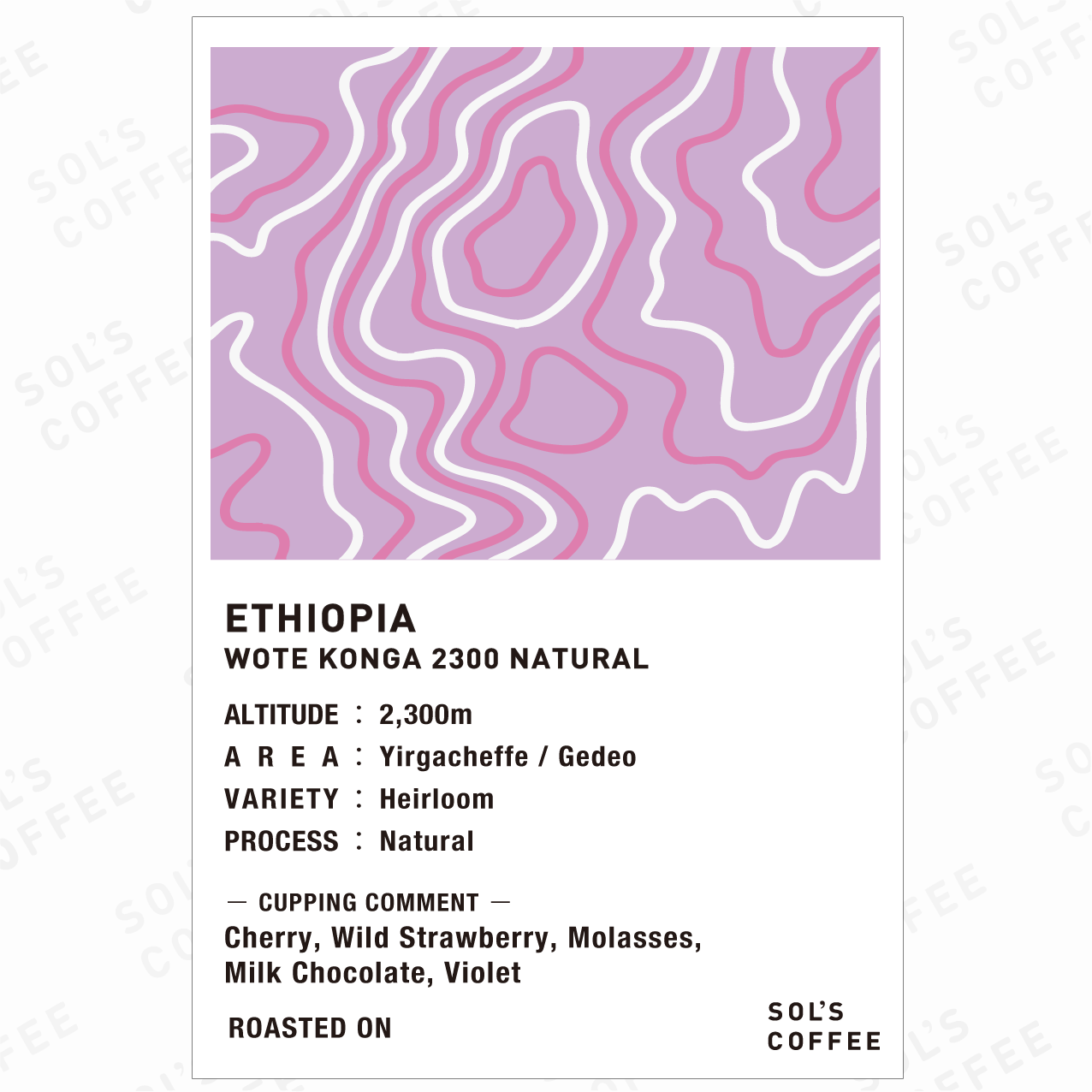 ETHIOPIA WOTE KONGA 2300 NATURAL