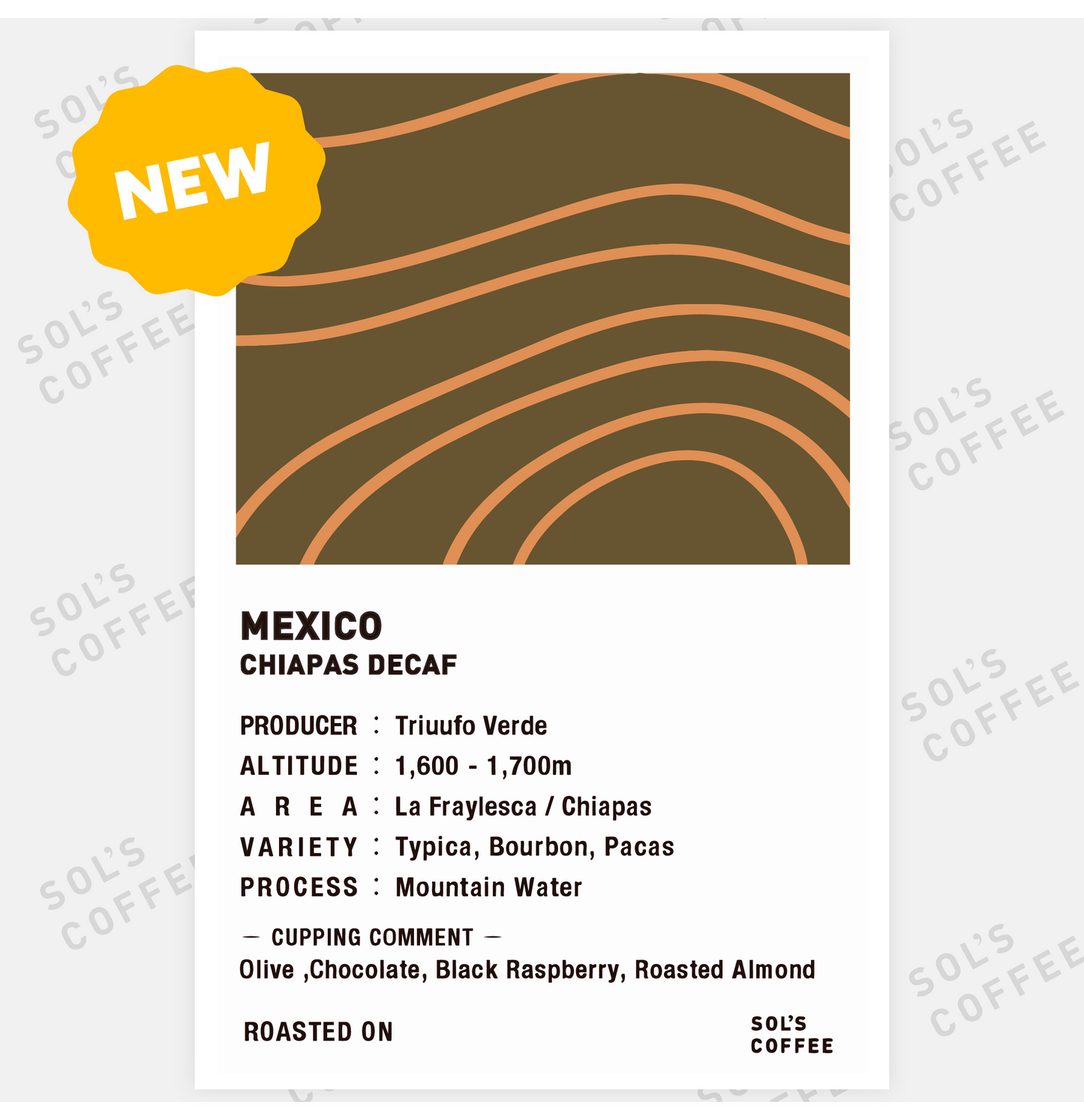 【デカフェ】MEXICO CHIAPAS