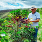 COLOMBIA NARINO ALITOS DE QUITUMPAMBA WASHED